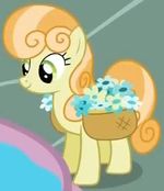 Junebug FiM S2E10.jpg