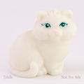 Precious-persian-white-baby.jpg