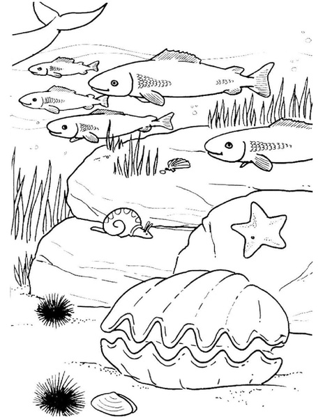 File:My Little Pony The Sea Ponies.pdf