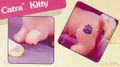 LittlePrettyCatraMIPPic3.jpg