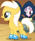 Sunny Daze FiM S1E23.jpg