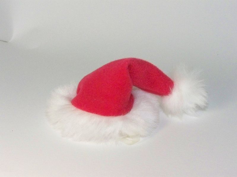 File:Xmas hat.JPG