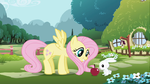 Fluttershycartoon.png