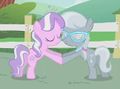 Diamondtiara-silverspoon.jpg