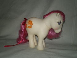 November Chrysanthemum.jpg