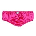Fuchsia Satin Panties.jpg