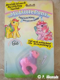 Baby North Star with Dutch packaging comes with only a toothbrush, where as this baby pony normally came with seven different accessories. However, removed from the packaging this pony looks like any other Baby North Star, thus she doesn't count as a Dutch pony.